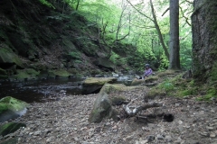 DSCF0118
