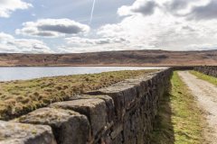 IMG_0606-EDIT