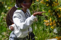 IMG_1551-EDIT